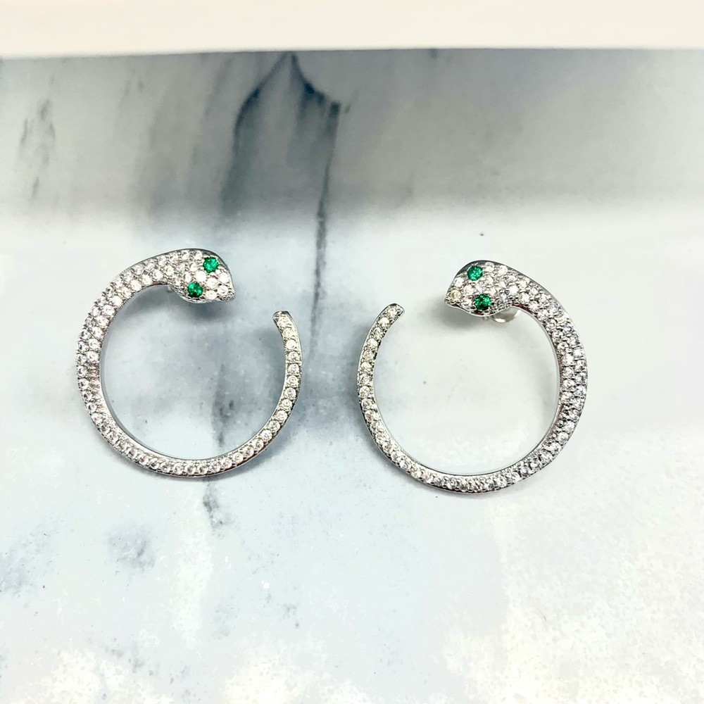 Snake zircon stone stud earrings